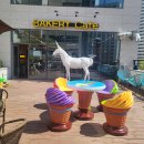 다율 상상 약국 | 다율동 맛집 추천 내돈내산 리뷰 베스트 10