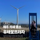 예일큰프라자 화장실 | 유채꽃프라자 제주 억새 명소 11월 동쪽 가볼만한 곳