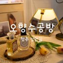 청주 성안길 명품 향수 &amp; 나만의 향수 핫플 오향수공방 후기