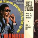 Stevie Wonder _스티비 원더 이미지