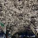 봉가면옥 이미지