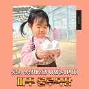 행복목장 | 동물 교감부터 감자캐기, 야외놀이까지! 알찬 파주 체험목장 '룰루목장' 방문 후기