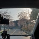 히트피싱민박 이미지