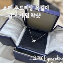 쇼메 목걸이 주드리앙 구입 후기 및 착샷
