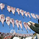 바다세상 이미지