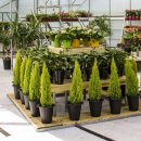 우림가든 이미지