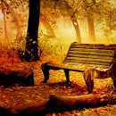 마음을 드립니다~아침의하루/오영록 이미지