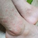 약혐) 밤낚시 한자의 최후... 이미지