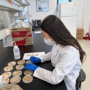 신안센터-5 이미지