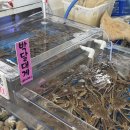 감포맛집 형제수산 신선함이 다른 경주감포횟집 수협활어직판장 8번 추천