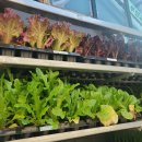 충남농약사 이미지