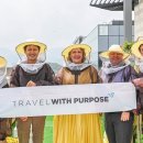 벌꿀호텔 이미지