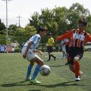 090517_함안중_진주봉래초 vs 경남fc u-12 이미지