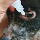 내포 홍성 승우빌딩 이미지