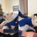 꿈나라 이미지