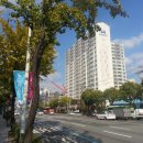 부평대로246번길 이미지