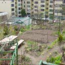 꽃과나무 이미지