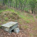 무덤의 흔적 이미지