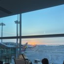 라인아파트(여자)경로당 | 아시아나항공 OZ222 인천-뉴욕JFK 직항 탑승 후기 / 미국 여자 입국심사 질문 후기