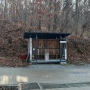 ㈜티지전기차 | [국내여행]강화도 어반티지 글램핑 카라반 펜션(서울 근교 캠핑,1박2일 여행)