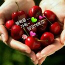 진해벚꽃공인중개사사무소 | 진해 더리브(THE LIV) 중개사사무소｜진해 부동산 전문