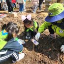 지혜숲유치원 이미지