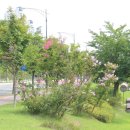 장량2근린공원(물빛공원) 이미지