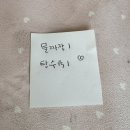 완산-58 | 전주 데프콘 맛집 대보장 물짜장 내돈내산 찐 후기
