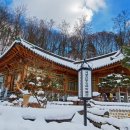 세종전통장류박물관 이미지