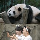 푸바오