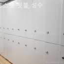 크로스핏 핏불 이미지