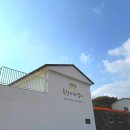 한국복타 협동조합 | 제주 목장 카페 승마 체험부터 다양한 놀거리 가득한 밭디