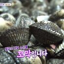 벌교택배 이미지