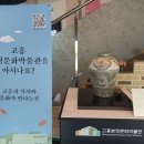 녹동버스터미널 헤럴드경제