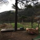 지인농장 이미지