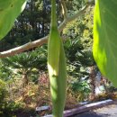 천사꽃펜션 이미지