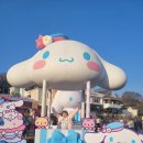 포시즌차이나 | 에버랜드 산리오 기간 튤립축제 후기(3) / 포시즌스가든 댄스타임, 퍼레이드, 불꽃놀이 끝!