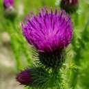 냇가에앉아서 이미지