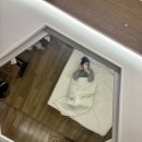 대호반점 신항직영점