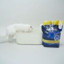 반려하다 | 아메리칸솔루션 벤토나이트 고양이모래 먼지 없는 대용량 정착 후기