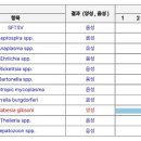 24시모란동물메디컬센터