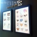 파라곤동물병원 이미지