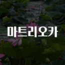 마트리오카 숨겨진 효능과 주의점