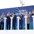 그린생선