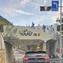 축제코스 | 민둥산 왕복 최단 2코스 억새축제 돌리네 정상 방문 후기