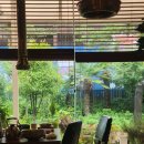 순천한국병원 식당 &#39;송미정&#39; 점심식사 후기 | 테라스가 예쁜 ㅣ2층 카페 할인까지 ㅣ점심은 비추얌ㅠ