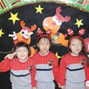 뿌리 유치원 이미지