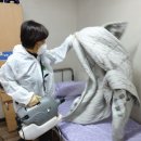 성동가축약품 | 옴 진드기 요양원 방역 소독 후기