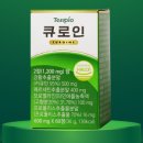 테라피오