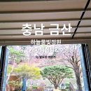 금산서울팬션민박 | 대전근교 금산 가볼만한곳 하늘물빛정원 찜질방 수영장 무료ㅣ이용요금 주차 후기